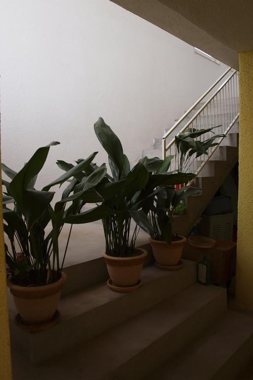 Apartments Viktorija Starigrad Paklenica Exterior foto
